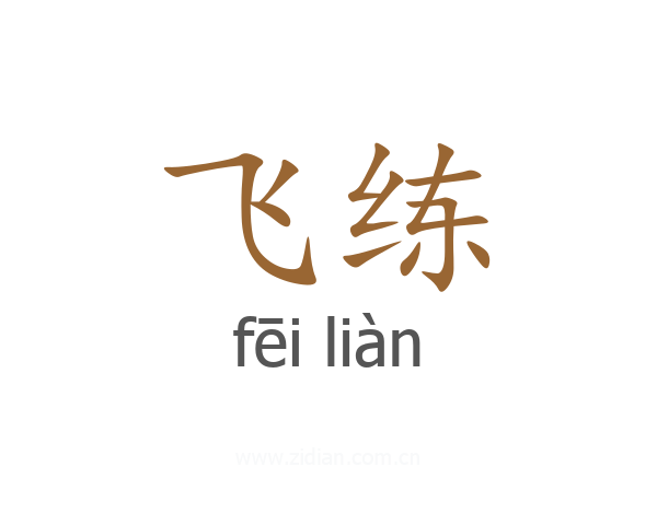 飞练