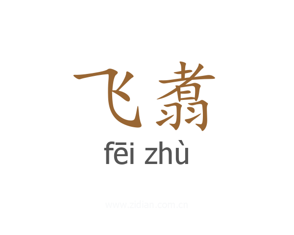 飞翥