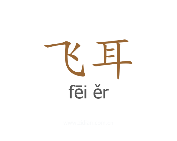 飞耳