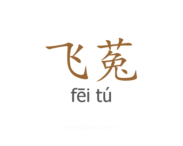 飞菟