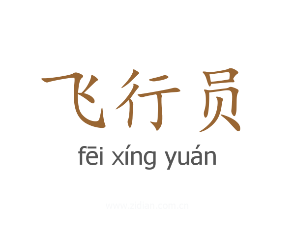 飞行员