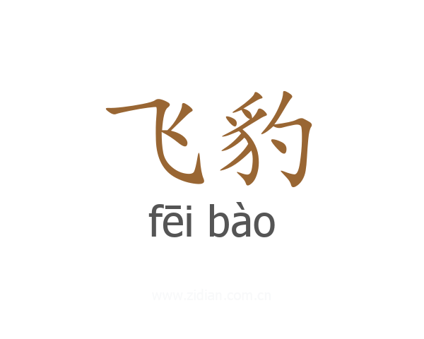 飞豹