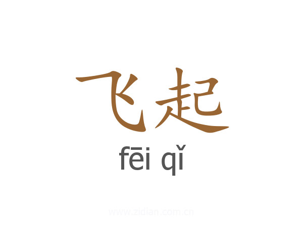 飞起
