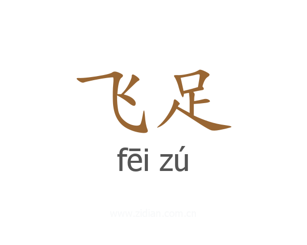 飞足