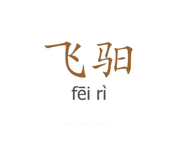 飞驲