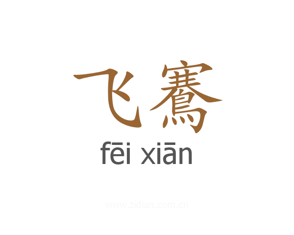飞鶱
