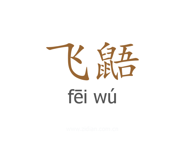 飞鼯