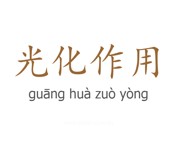 光化作用
