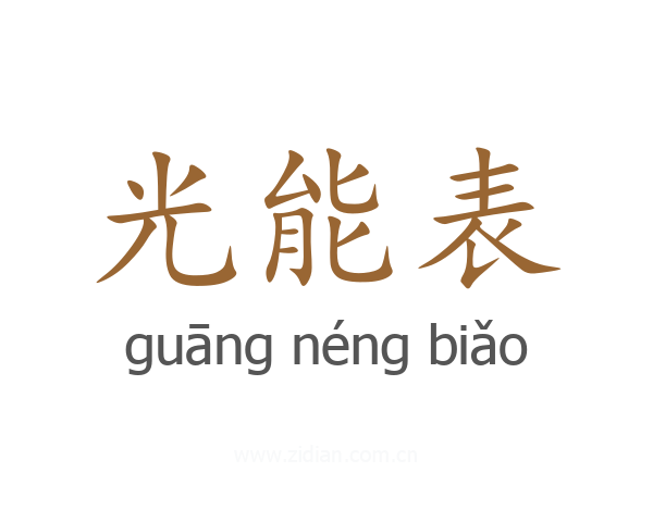 光能表