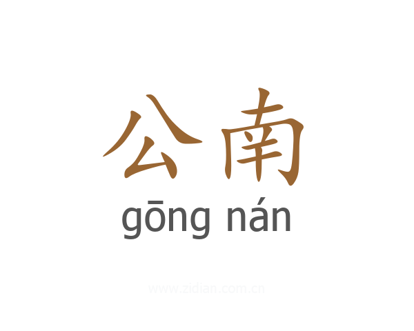公南