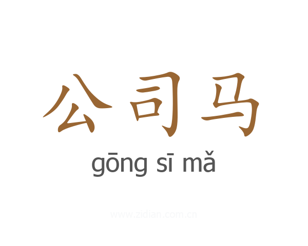 公司马
