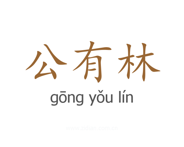 公有林