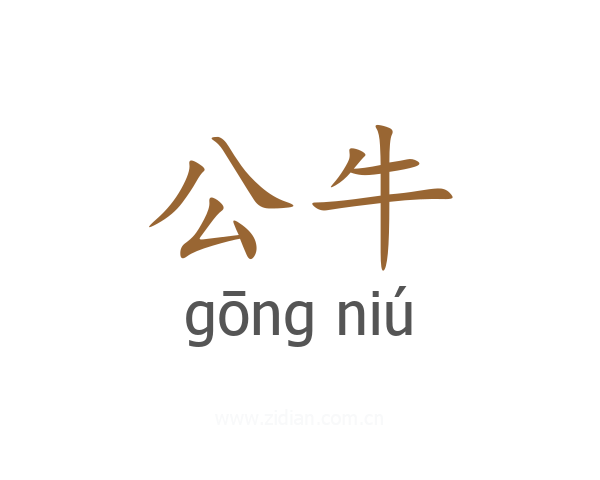 公牛
