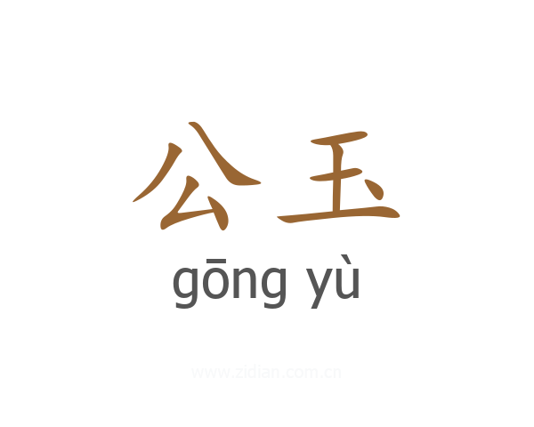 公玉