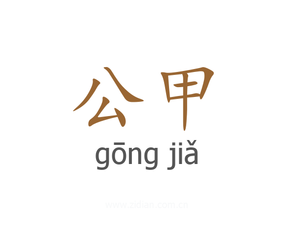公甲