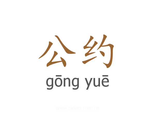 公约