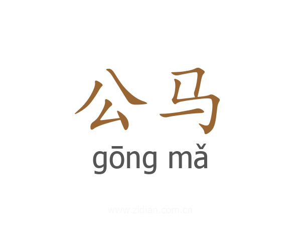 公马