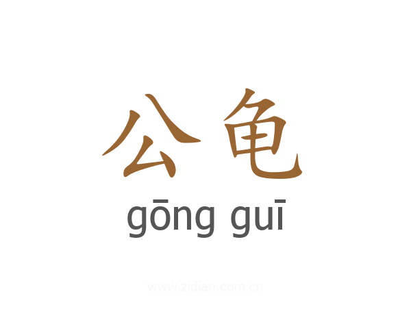 公龟