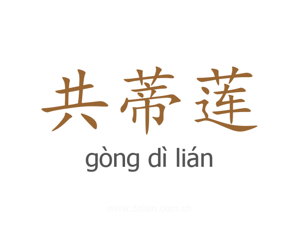 共蒂莲