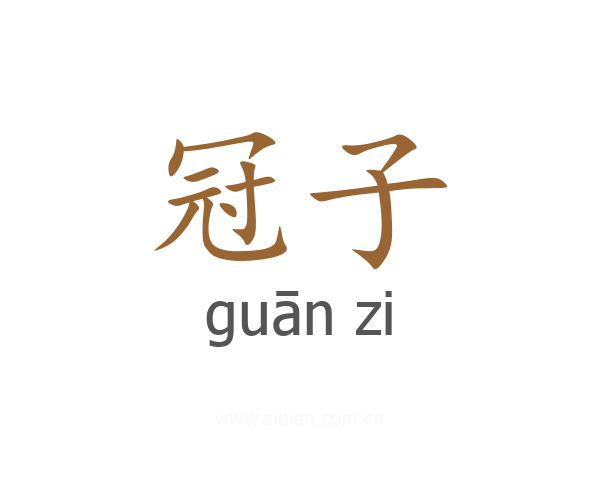 冠子