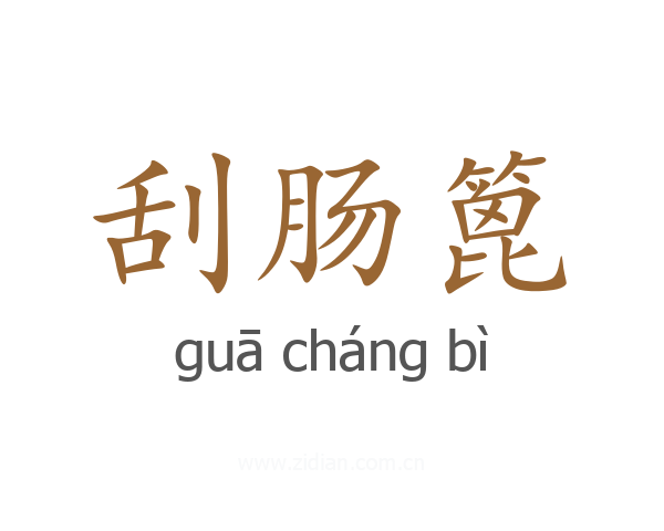 刮肠篦