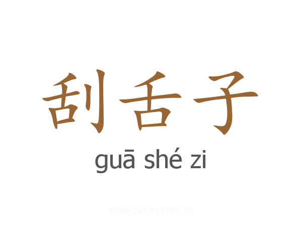 刮舌子