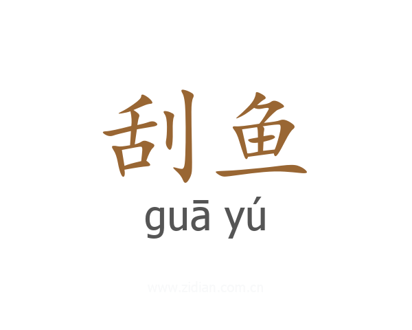 刮鱼
