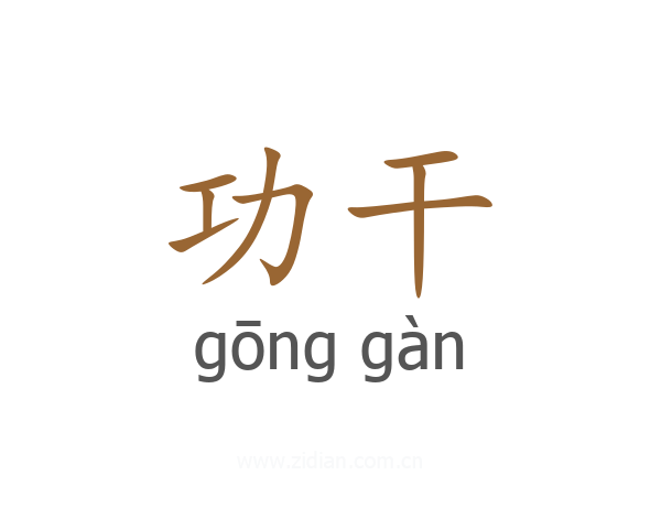 功干