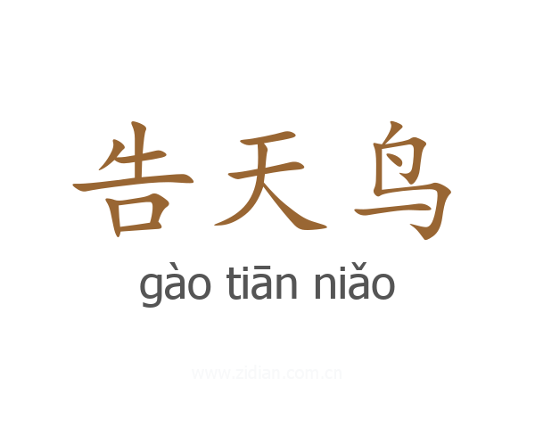 告天鸟