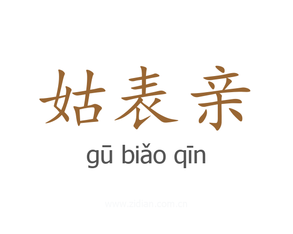 姑表亲