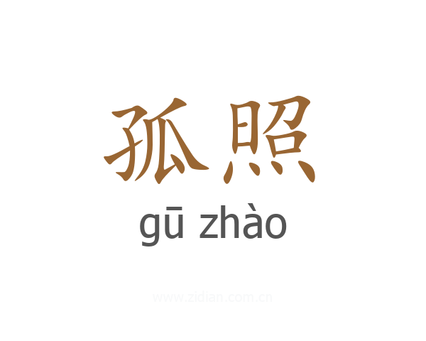 孤照