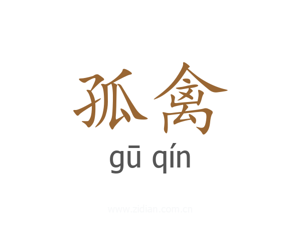 孤禽