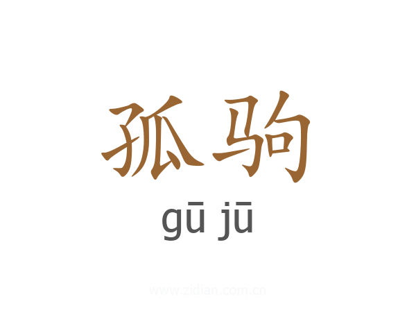 孤驹
