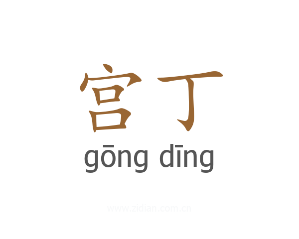 宫丁