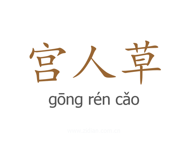 宫人草
