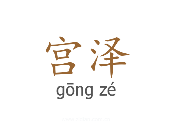 宫泽