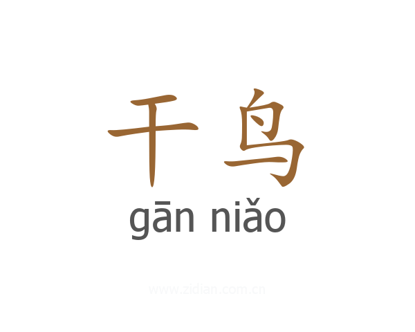 干鸟
