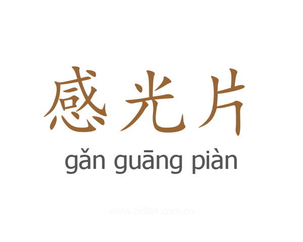 感光片