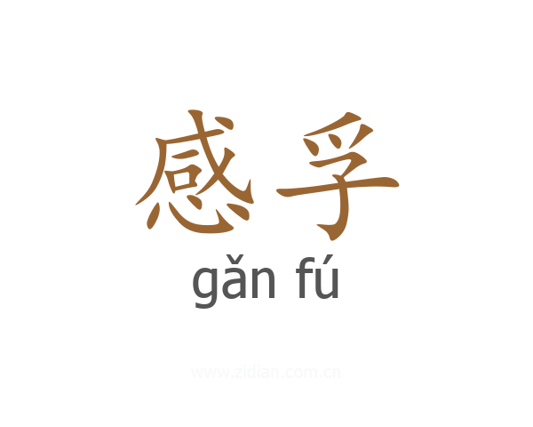 感孚