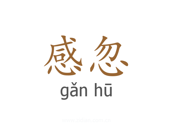 感忽