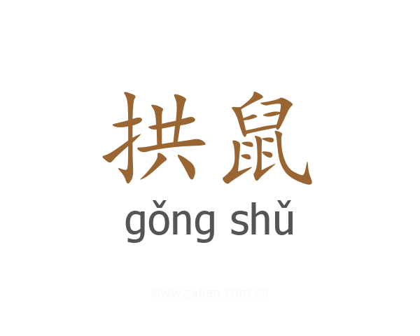 拱鼠