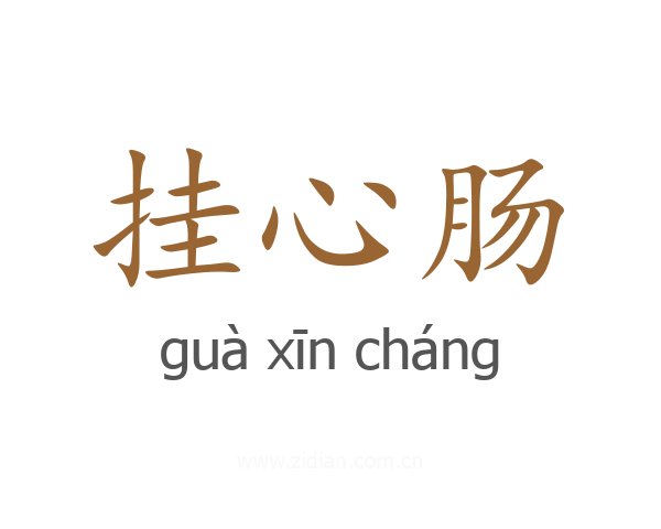 挂心肠
