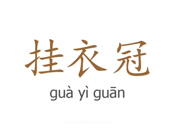 挂衣冠