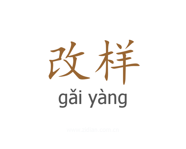 改样