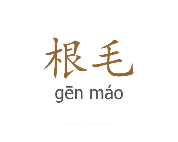 根毛