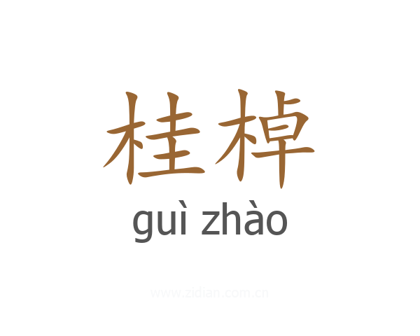 桂棹