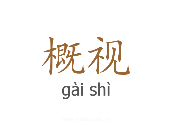 概视