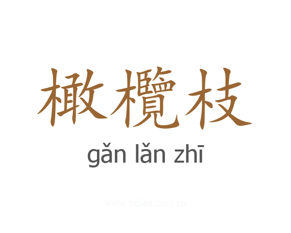 橄欖枝
