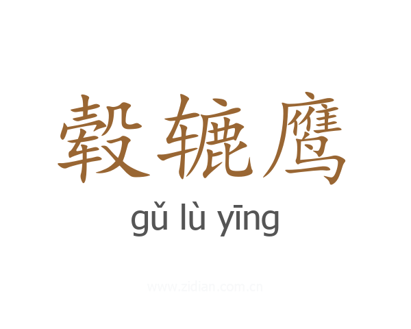 毂辘鹰
