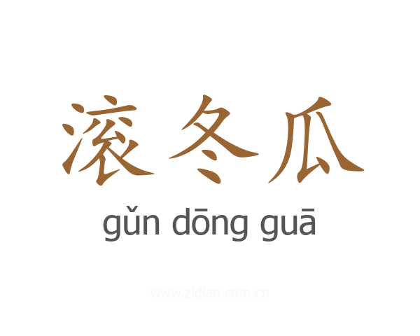 滚冬瓜